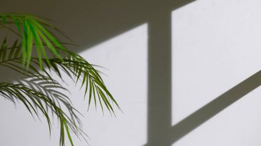 Somut desen arkaplanı. Pencereden süzülen doğal ışığın gölgeleri..