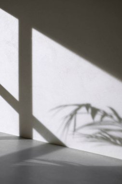 Somut desen arkaplanı. Pencereden süzülen doğal ışığın gölgeleri..