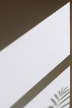 Somut desen arkaplanı. Pencereden süzülen doğal ışığın gölgeleri..