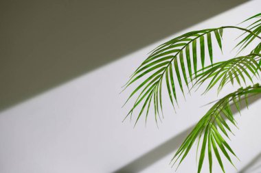 Somut desen arkaplanı. Pencereden süzülen doğal ışığın gölgeleri..