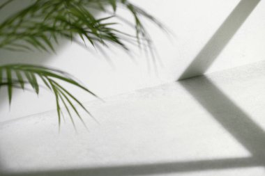 Somut desen arkaplanı. Pencereden süzülen doğal ışığın gölgeleri..