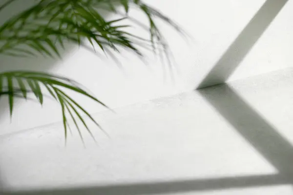 Somut desen arkaplanı. Pencereden süzülen doğal ışığın gölgeleri..