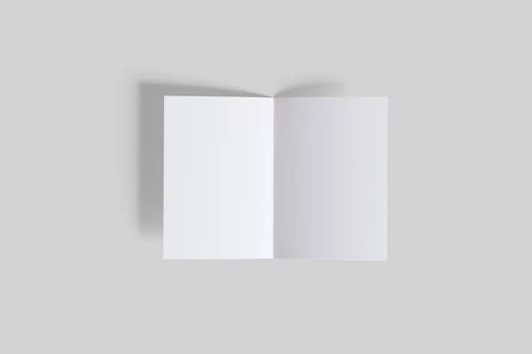 Catálogo Folletos Con Tamaño Papel Con Espacios Blanco Hechos Software —  Fotos de Stock