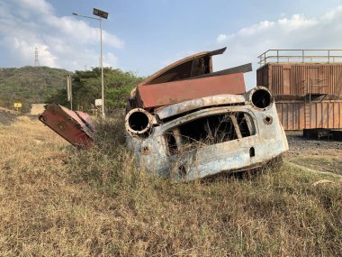 Kırık ve paslı araba uzun zamandır boş bir arsaya park edilmişti. Bu yüzden otla kaplıydı.