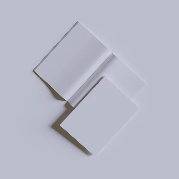 Potrait Magazine Colore Bianco Texture Realistica Rendering — Foto Stock