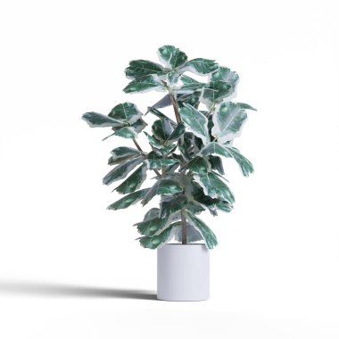 Gerçekçi bitkiler ve çiçek beyaz arkaplan