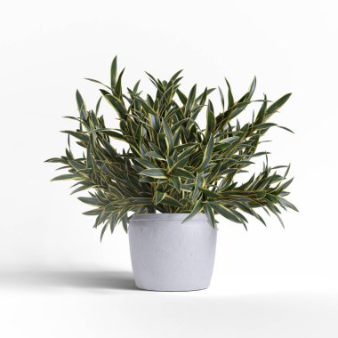 Gerçekçi bitkiler ve çiçek beyaz arkaplan