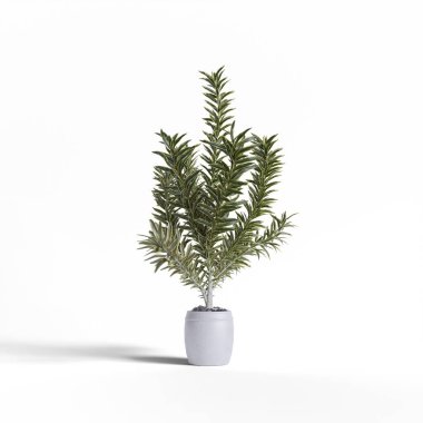 Gerçekçi bitkiler ve çiçek beyaz arkaplan