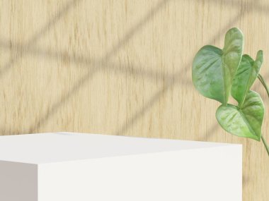 Podyum ürün sahne sunumu gerçekçi canlandırma illüstrasyonu