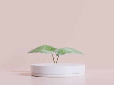 Podyum ürün sahne sunumu gerçekçi canlandırma illüstrasyonu