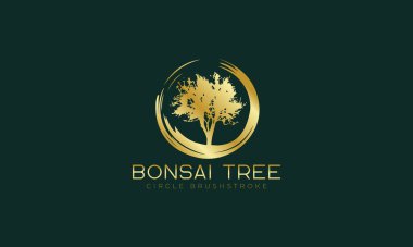 Lüks bonsai ağacı logo tasarım vektör şablonu