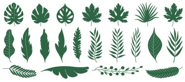 Çeşitli yeşil tropikal ve botanik yaprak siluetleri.