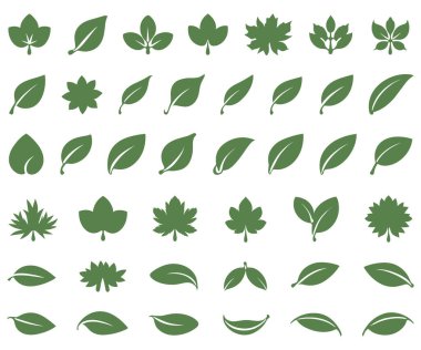 Yeşil yaprak simgeleri. çevre dostu vektör
