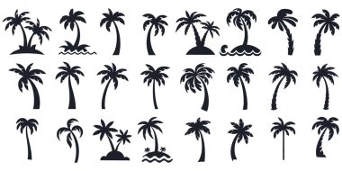 Palmiye ağacı siluetleri koleksiyonu. Palmiye ağacı vektörü.