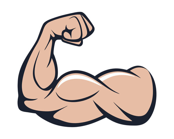 Сгибаю бицепс. мышечный вектор руки