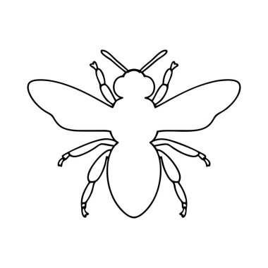 Beyaz arka planda sunulan minimalist siyah bir arı çizimi. Bu çizim açıkça böceğin gövdesini, segmentli karın, göğüs kafesi, anten ve altı bacağı gösteriyor. İki çift kanadı genişçe açılır. Temiz çizgiler...