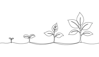 Bir Bitkinin Büyüme Aşamaları Sanat Sözcükleri bitki, büyüme, tohum, filizlenme, yapraklar, Vektör.