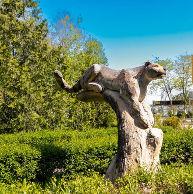 Tahtadan yapılmış kar leoparı heykeli