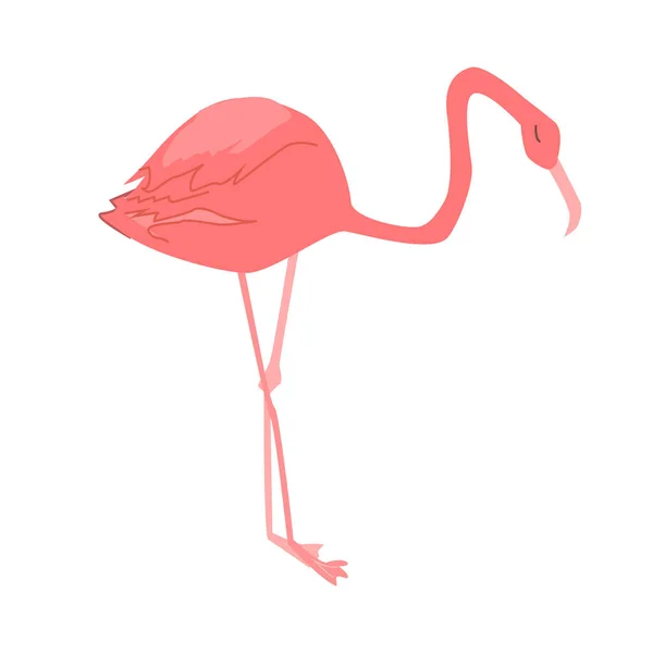 Pássaro Africano Tropical Flamingo Tom Coral Rosa Ilustração Vetorial Estilo — Vetor de Stock