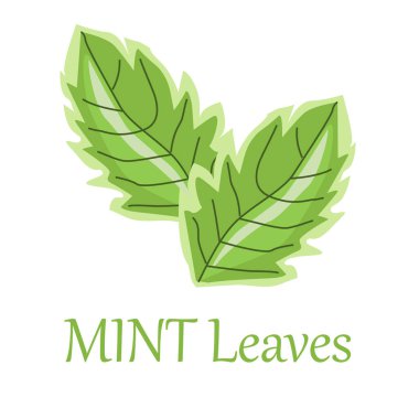 Çizgi film tarzında çizilmiş nane yaprakları. Beyaz arka planda vektör çizimi. Paketleme ve tekstil tasarımı için uygun, web tasarımı için simgeler. 