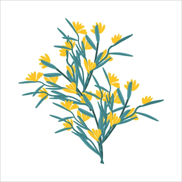 黄色の花を手描きで枝先 白い背景のベクトルイラスト — ストックベクタ