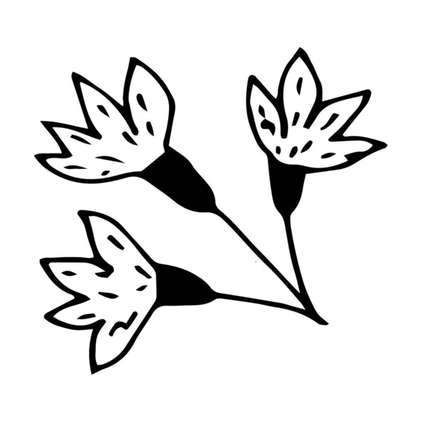 Sprig Cornflower Wildflowers Monochrome Palette Vector Illustration Isolated — Stock Vector