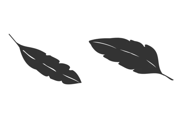 Uma Coleção Ícones Penas Pássaros Vetores Elemento Ilustração Logotipo Conceito — Vetor de Stock