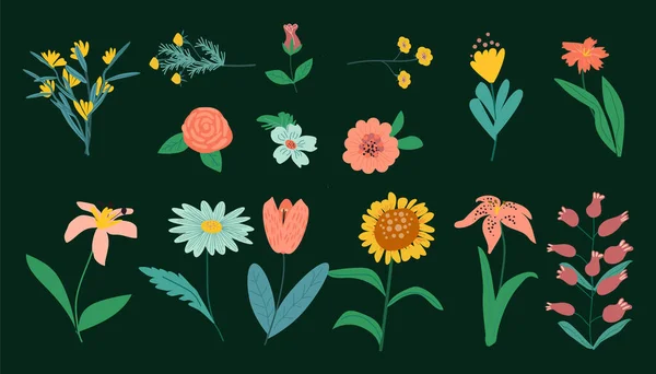 stock vector a collection of botanical elements of flowering plants on a dark background. vector illustration is suitable for packaging design, textiles and greeting cards.