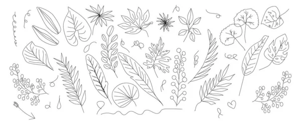 Ручной Рисунок Тропических Листьев Изолирован Векторная Иллюстрация Подходит Оформления Приглашений — стоковый вектор