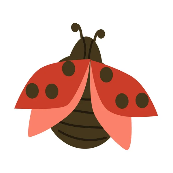 Lindo Insecto Escarabajo Mariquita Roja Estilo Plano Ilustración Vectorial Aislada — Archivo Imágenes Vectoriales