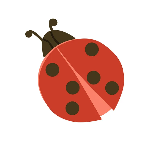 Piccolo Bellissimo Insetto Rosso Con Macchie Illustrazione Vettore Coccinella — Vettoriale Stock