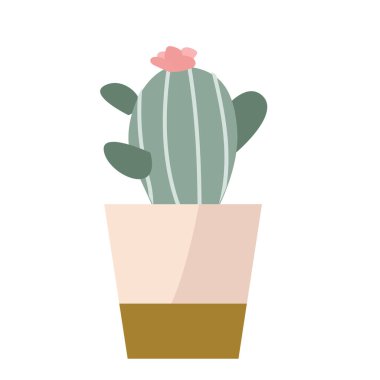 Seramik çiçekli kaktüs saksı vektörü tek bir illüstrasyon. Vektör illüstrasyonu izole edildi. Lezzetli, tapılası. İç mekan için harika.