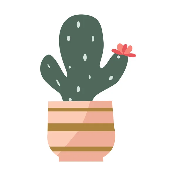 Florecen Suculentos Cactus Maceta Ilustración Vectorial Aislada Con Gradiente Cactus — Archivo Imágenes Vectoriales