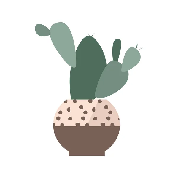Kaktus Šťavnatý Květináči Dekorativním Vzorem Izolovaná Vektorová Ilustrace — Stockový vektor