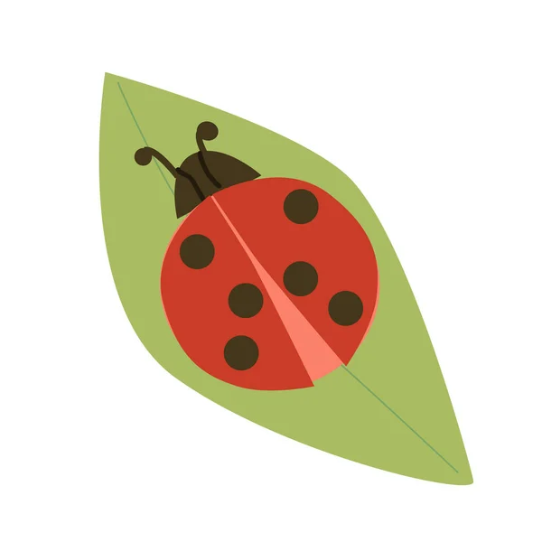 Αρκετά Κόκκινο Έντομο Μαύρες Κουκίδες Ένα Πράσινο Φύλλο Χαριτωμένο Διάνυσμα — Διανυσματικό Αρχείο