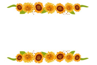 Ayçiçeği yaprakları ve dekoratif elementlerden oluşan düz yatay sınır. Beyaz arkaplanda vektör illüstrasyonu. 