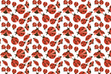 Bayan böcek desenli vektör, sevimli uğur böceği geçmişi. Beyaz arkaplanda vektör çizimi izole edildi. Yaz ya da sonbahar ya da bahar tatlı böcekli pürüzsüz zemin. 