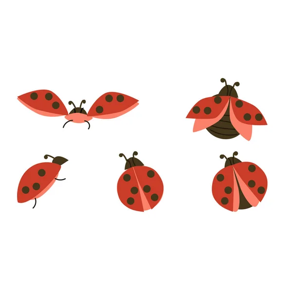 Conjunto Insectos Rojos Escarabajos Volando Ilustración Vectorial Ilustración Vectorial Aislada — Archivo Imágenes Vectoriales