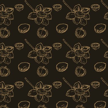 El, dalına Macadamia cevizinin kusursuz desenini çizmiş. Siyah arkaplanda vektör çizimi. Paket kağıdı, güzellik kozmetik arka planı için kullanılabilir. 