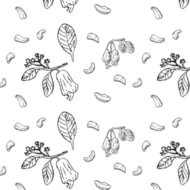 El çizimi tarzında kaju rengi dikişsiz dış plan. Vektör çizimi izole edildi.