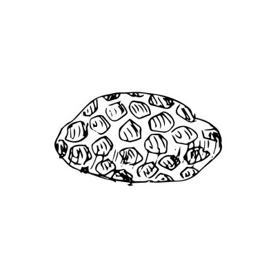 Bal peteği propolis çizimi. Bal hücrede. Bal ürününün klasik tarzda el çizimi vektör çizimi, 