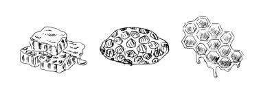 Bir dizi bal peteği propolis çizimi. Bal hücrede. Bal ürününün klasik tarzda el çizimi vektör çizimi, 