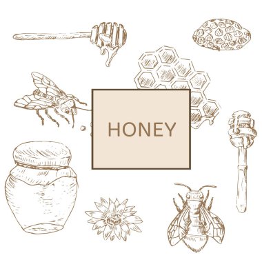 Bal arısı ve bal ürünlerinin eskizi. Vektör illüstrasyonu ambalaj kağıdı, tekstil, gıda etiketi, organik bal ürünleri için baskı için kullanılabilir. 