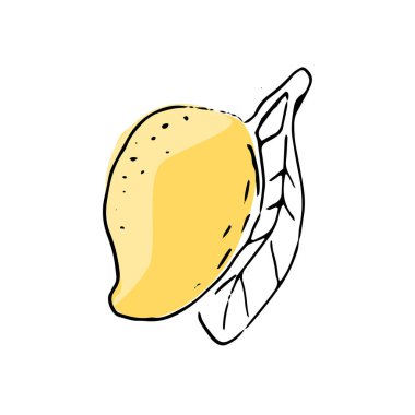 Çizim sanatında elle çizilmiş mango meyvesi. Sağlıklı mango için tropikal meyvelerin vektör çizimi. Kaliteli boya sanatı.. 