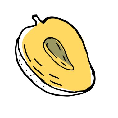 Resim çiziminde mango meyvesinin yarısını elle çizdim. Sağlıklı mango için tropikal meyvelerin vektör çizimi. Kaliteli boya sanatı.. 