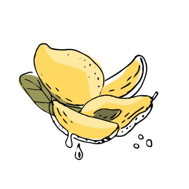 Mango dilimlenmiş ve yarım meyve mürekkebi çizimi. Sağlıklı mango için tropikal meyvelerin vektör çizimi. Kaliteli boya sanatı.. 