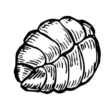 Elle çizilmiş çizimde ekmek ya da pasta vektör çizimi. Pastane için buğday ürünü kabartma ögesi.