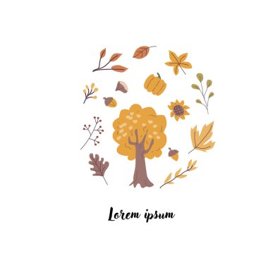 Sonbahar mevsimsel elementleri olan sonbahar hasat arkaplanı ya da afişi. Güzel yeşillikler, içkiler, giysiler. Kapak tasarımı için yuvarlak arkaplan, kartlar.