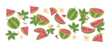 El çizimi soyut meyve seti. Tam meyve, dilimler, yapraklar, çiçekler. Posterler, etiketler, kalıplar için kullanılabilir.