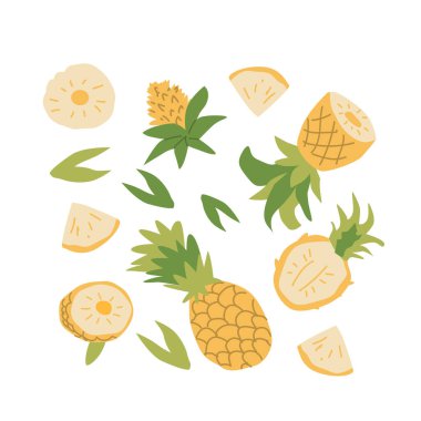 El çizimi soyut meyve ananas seti. Tam meyve, dilimler, yapraklar, çiçekler. Posterler, etiketler, kalıplar için kullanılabilir.